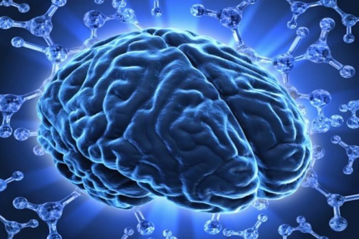 Amazing Facts you do Not Know about the Human Brain